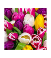 Servilletas 33 x 33 cm Tulips in Colour