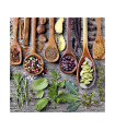 Servilletas 33 x 33 cm Spicesand Herbs