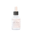 Aceite Aromático 30 cm3 Línea Clásica Jengibre Espacio Aroma