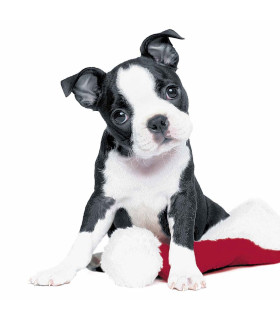 Servilletas 33 x 33 cm Xmas Dog