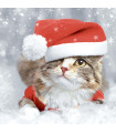 Servilletas 33 x 33 cm Kitten Xmas