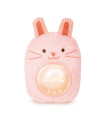 Amigo con Luz y Musical Huggy Roro Hape