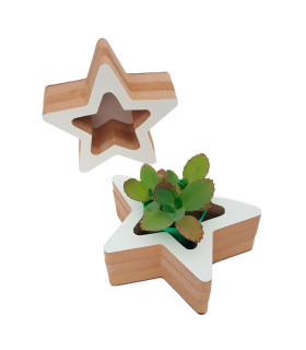 Adorno de Estrella Contenedora 15 x 6 cm Adorno de Estrella Contenedora 15 x 6 cm