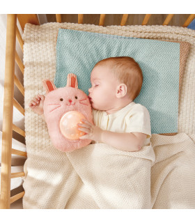 Amigo con Luz y Musical Huggy Roro Hape