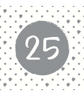 Servilletas 33 x 33 cm 25th Birthday