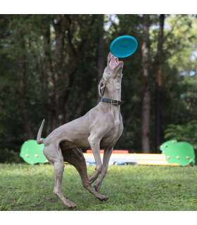 Frisbee para Perros Jetwag Waboba