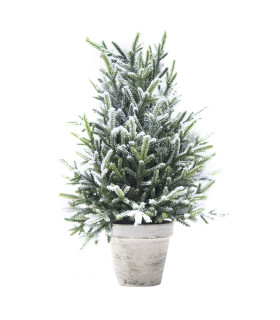 Pino nevado en maceta 40 cm