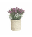Lavanda en Maceta 22 cm Alparamis