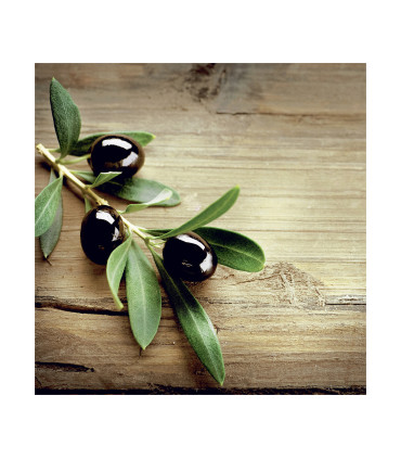 Servilletas 33 x 33 cm Lunch Fresh Bread