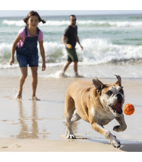 Pelota para Perros Tailwind Waboba