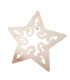Adorno de Estrella Calada 25 cm