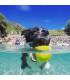 Pelota para Perros Fetch Waboba