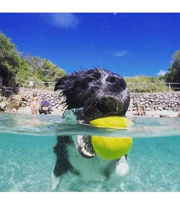 Pelota para Perros Fetch Waboba