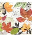 Servilletas 33 x 33 cm Herbarium