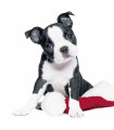 Servilletas 33 x 33 cm Xmas Dog