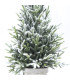 Pino Nevado en Maceta 40 cm Alparamis