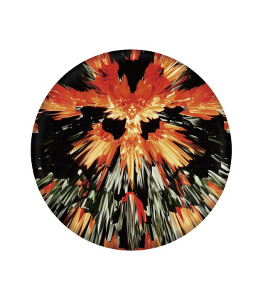 Frisbee De Silicona Wingman Pro 21 cm Waboba