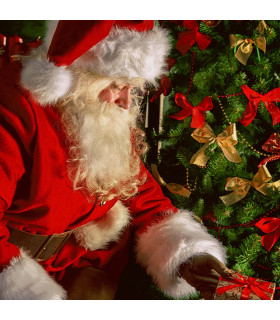 Servilletas 33 x 33 cm Bringing Gifts Xmas