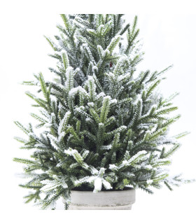 Pino Nevado en Maceta 40 cm Alparamis