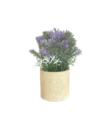 Lavanda en Maceta 22 cm Alparamis