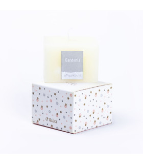 Caja Vela Carpe Diem - PACK x 20