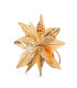 Adorno Estrella Federal Dorada 23 cm Alparamis A24-3949