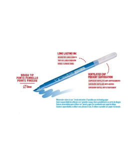 Marcadores Acuarelables Aquarello Carioca x 12