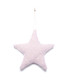 Adorno para Colgar Estrella 21 cm Alparamis