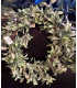 Corona Navideña de Hojas Verdes 55 cm Alparamis