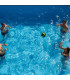 Pelota de Volley Sport Line Waboba