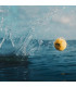 Pelota para Perros Fetch Waboba