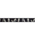 Cinta Halloween Skeletons 2.5 cm x 10 m