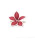 Adorno Estrella Federal Roja Borde Blanco 18 cm Alparamis A24-4206