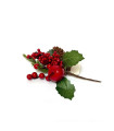 Adorno Pick de Bayas y Manzanas Rojas 20 cm Alparamis FX22-27