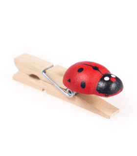 Broche con Vaquita de San Antonio
