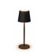 Lámpara de Mesa Recargable USB 27 cm Negra Alparamis