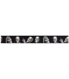 Cinta Halloween Skeletons 2.5 cm x 10 m