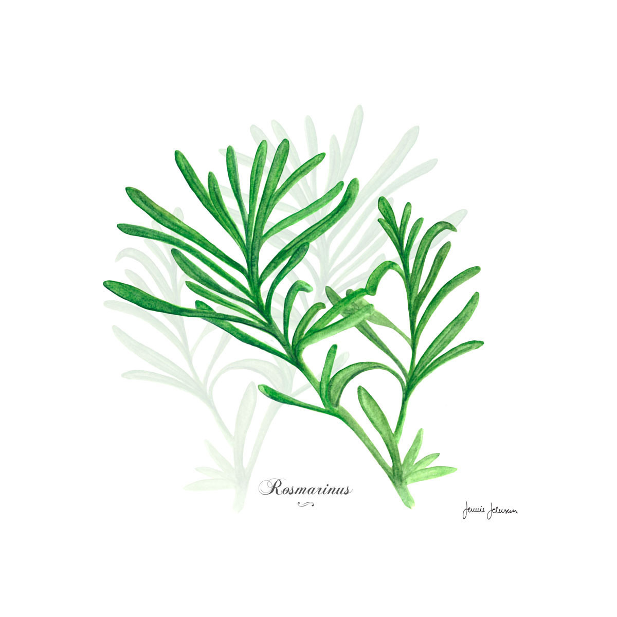 Servilletas 33x33 Rosemary
