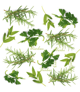 Servilletas 33 x 33 cm Herbs