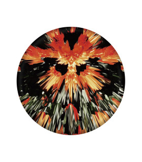 Frisbee De Silicona Wingman Pro 21 cm Waboba