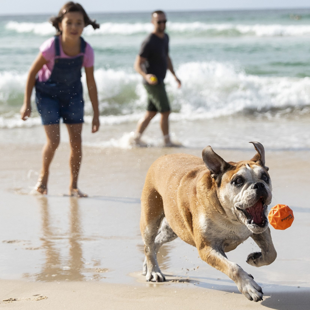 Pelota para Perros Tailwind Waboba