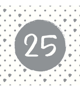 Servilletas 33 x 33 cm 25th Birthday