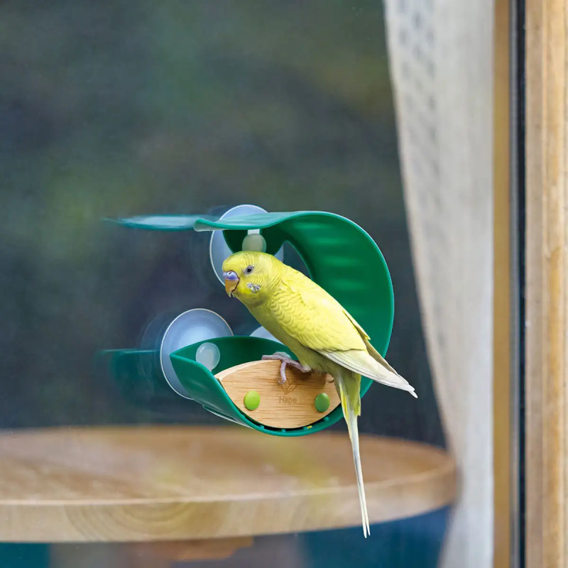 Comedero de Pájaros para Ventana Hape